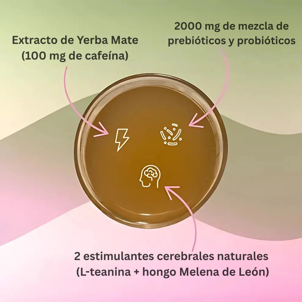 Yerba Magic - Cápsulas De Yerba Mate I 60 Cápsulas