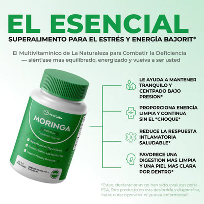 EverLab+ Moringa - El suplemento natural que calma tu cuerpo y tu mente.
