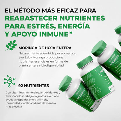 EverLab+ Moringa - El suplemento natural que calma tu cuerpo y tu mente.