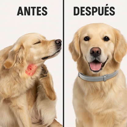 Collar antipulgas y Garrapatas   – Flexible, duradero y seguro
