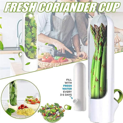 Conservador de Hierbas - El Secreto para Cocinar Siempre con Frescura OFERTA 2 X 1