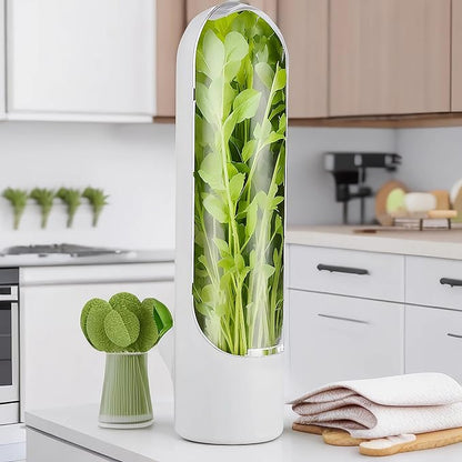 Conservador de Hierbas - El Secreto para Cocinar Siempre con Frescura OFERTA 2 X 1