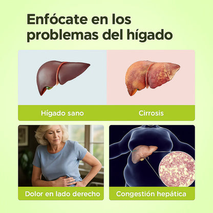 Limpiador Hígado y Vesícula, Boldo & Milk Thistle Extract