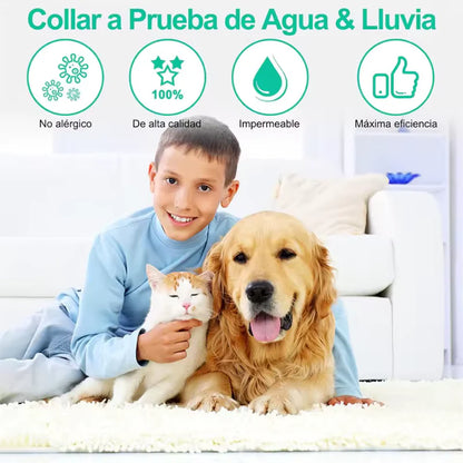 Collar antipulgas y Garrapatas   – Flexible, duradero y seguro