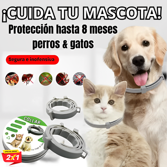 Collar antipulgas y Garrapatas   – Flexible, duradero y seguro