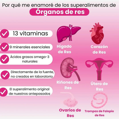 Primal Queen – Energía, Vitalidad y Equilibrio Natural para la Mujer