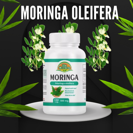 Moringa Oleifera - Cápsulas de Bienestar Total con Vitaminas, Minerales y Antioxidantes (100 Cápsulas)