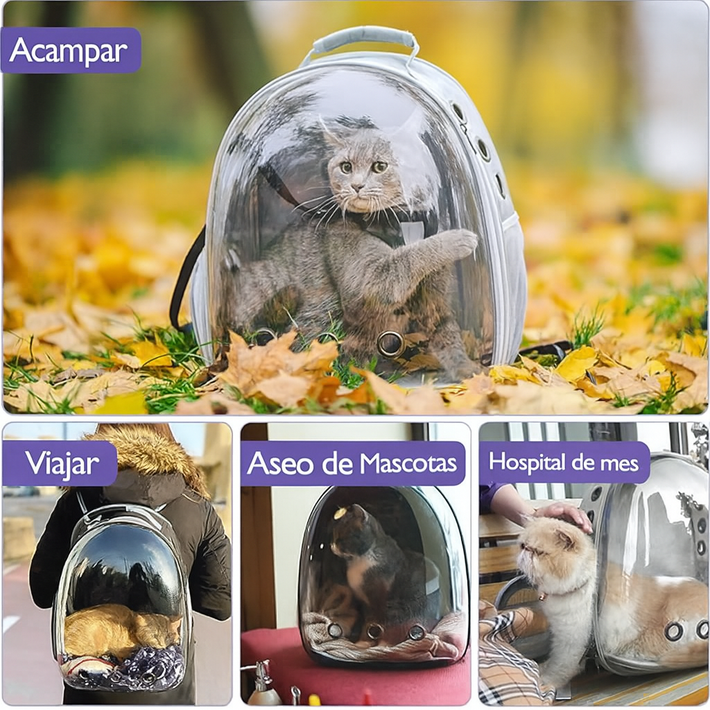 Mochila Transportadora Premium con Burbuja Transparente para Mascotas Pequeñas