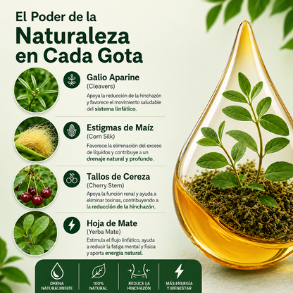 Gotas linfáticas desintoxicantes para reducir el edema, la hinchazón y la linfopatía.